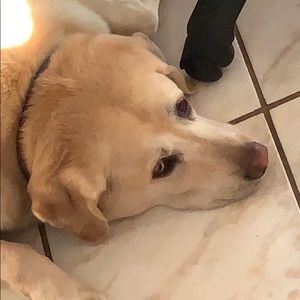 Meet your Posher, Marcelo